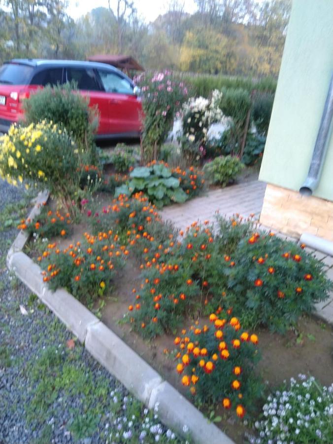 Agropensiunea Cetatuia Luncavita Bagian luar foto