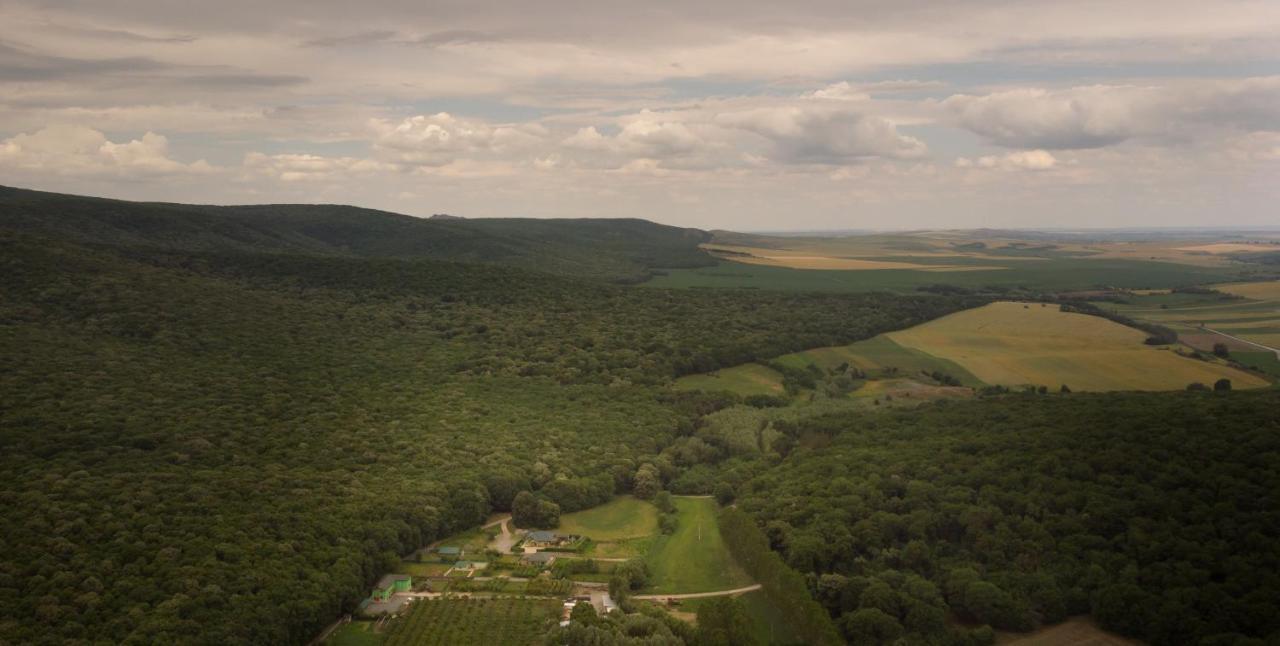 Agropensiunea Cetatuia Luncavita Bagian luar foto