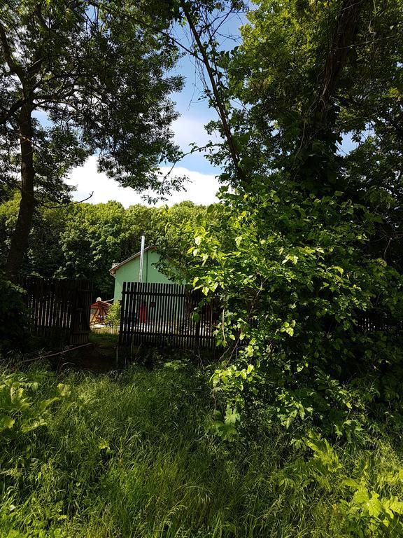 Agropensiunea Cetatuia Luncavita Bagian luar foto