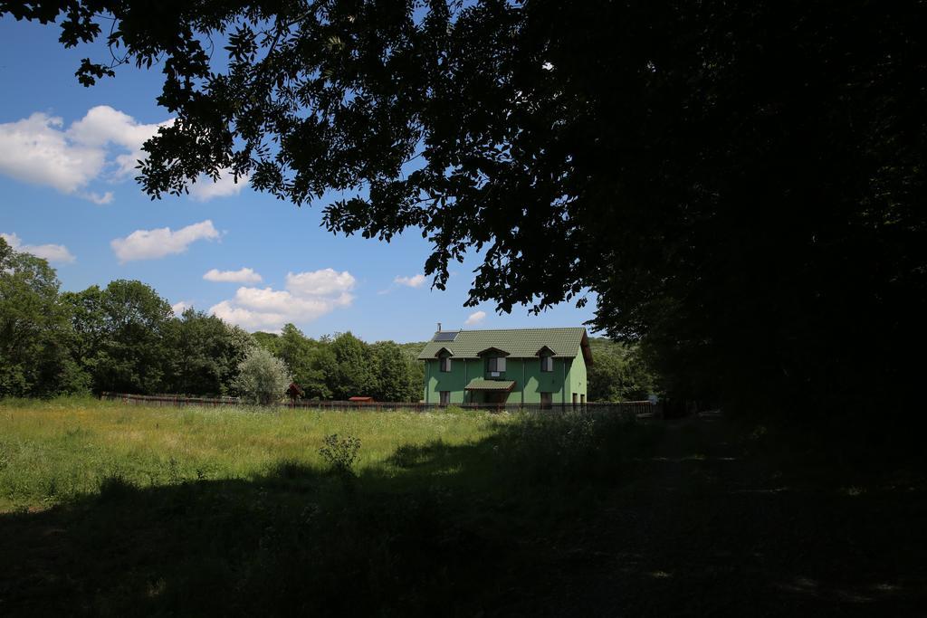 Agropensiunea Cetatuia Luncavita Bagian luar foto