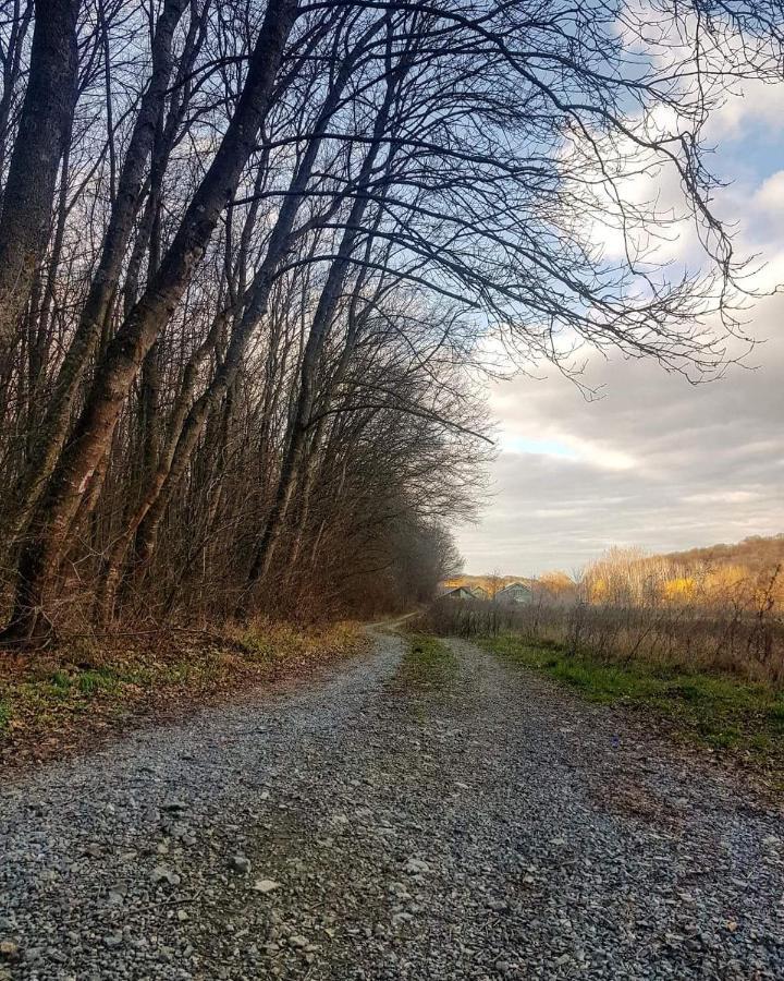 Agropensiunea Cetatuia Luncavita Bagian luar foto