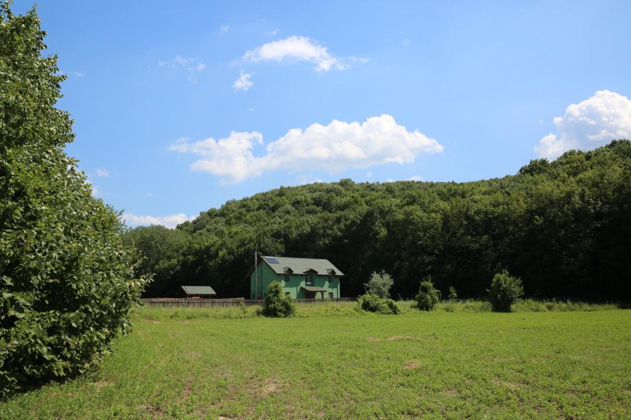 Agropensiunea Cetatuia Luncavita Bagian luar foto